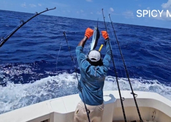 Hook Up y Delta Down asumen liderazgo en segunda jornada del Torneo Internacional de Pesca al Marlin Blanco