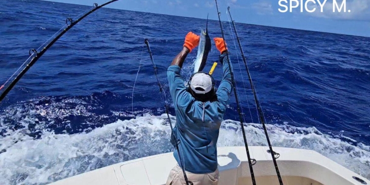 Hook Up y Delta Down asumen liderazgo en segunda jornada del Torneo Internacional de Pesca al Marlin Blanco