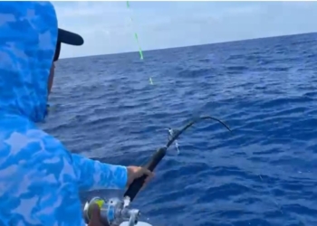 Orlando Navarro impulsa a “Los Fantasmas” al liderato del Torneo Internacional de Pesca al Marlin Blanco