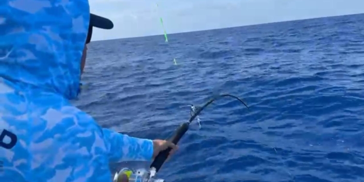Orlando Navarro impulsa a “Los Fantasmas” al liderato del Torneo Internacional de Pesca al Marlin Blanco