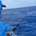 Orlando Navarro impulsa a “Los Fantasmas” al liderato del Torneo Internacional de Pesca al Marlin Blanco