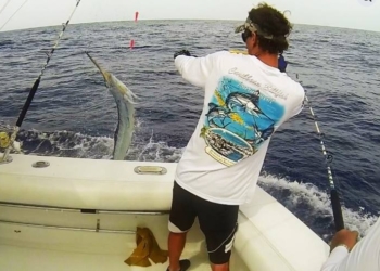 Torneo Internacional de Pesca al Marlin Blanco arranca este miércoles en Cabeza de Toro