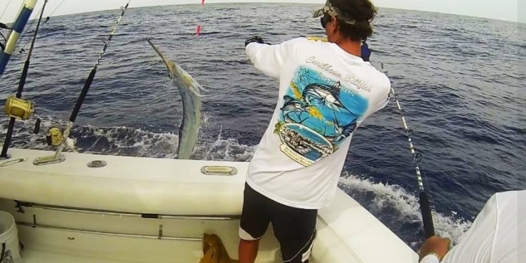 Torneo Internacional de Pesca al Marlin Blanco arranca este miércoles en Cabeza de Toro