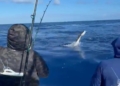 Lanchas Ángela y Fresh Air asumen liderato en torneo de pesca al Marlin Blanco